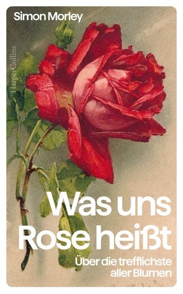 Produktbild: Was uns Rose hei&szlig;t. &Uuml;ber die trefflichste aller Blumen