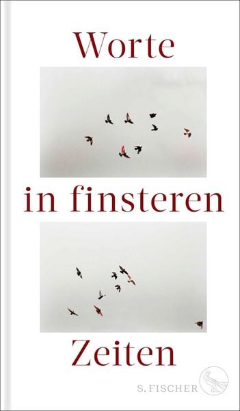 Produktbild: Worte in finsteren Zeiten