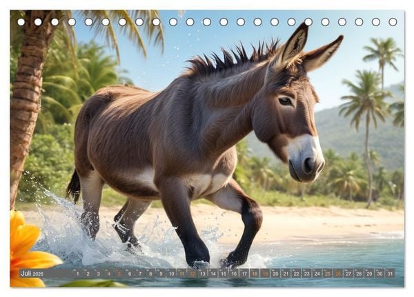 Produktbild: Eseltr&auml;ume (Tischkalender 2026 DIN A5 quer), CALVENDO Monatskalender