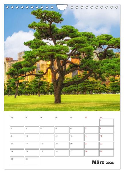 Produktbild: Tokio - Reiseplaner (Wandkalender 2026 DIN A4 hoch), CALVENDO Monatskalender