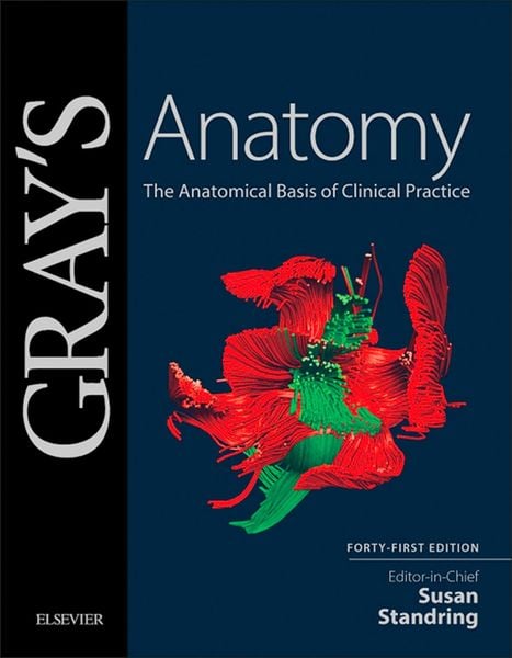 Produktbild: Gray's Anatomy E-Book