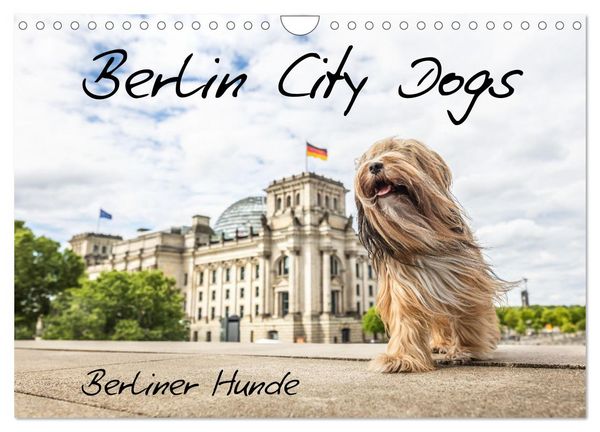 Produktbild: Berlin City Dogs - Berliner Hunde (Wandkalender 2026 DIN A4 quer), CALVENDO Monatskalender