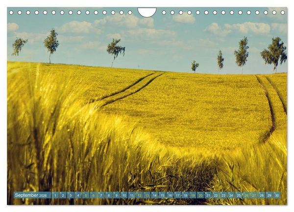 Produktbild: Buschvitz - Geografischer Mittelpunkt der Insel R&uuml;gen (Wandkalender 2026 DIN A4 quer), CALVENDO Monatskalender