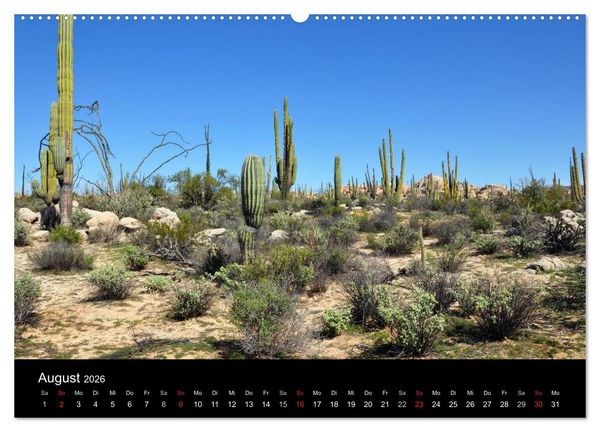 Produktbild: Baja California - Impressionen der mexikanischen Halbinsel (Wandkalender 2026 DIN A2 quer), CALVENDO Monatskalender