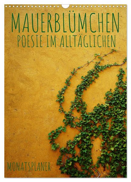 Mauerblümchen - Poesie im Alltäglichen als Monatsplaner (Wandkalender 2026 DIN A3 hoch), CALVENDO Monatskalender