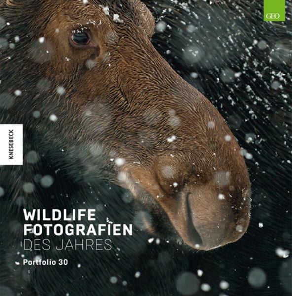 Wildlife Fotografien des Jahres – Portfolio 30, Gebundene Ausgabe von , Knesebeck, 9783957284006