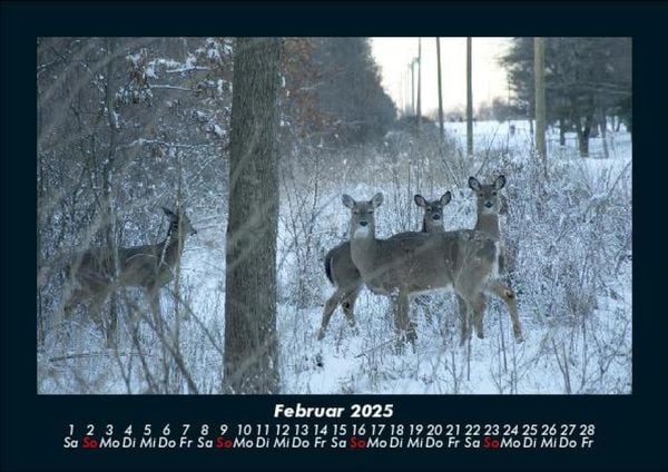 Produktbild: Winterzauber 2025 Fotokalender DIN A5