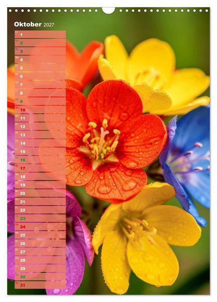 Produktbild: Bunte Augenblicke (Wandkalender 2027 DIN A3 hoch), CALVENDO Monatskalender