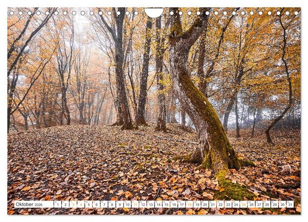 Produktbild: B&auml;ume im Altm&uuml;hltal (Wandkalender 2026 DIN A4 quer), CALVENDO Monatskalender