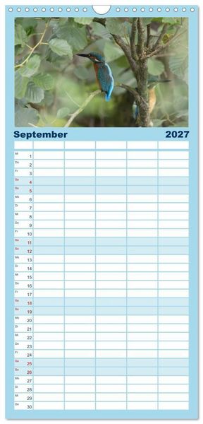 Produktbild: Familienplaner 2027 - Alcedo atthis. Der Eisvogel mit 5 Spalten (Wandkalender, 21 x 45 cm) CALVENDO