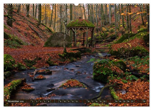 Produktbild: Augenschmaus Pf&auml;lzer Wald (Wandkalender 2026 DIN A2 quer), CALVENDO Monatskalender