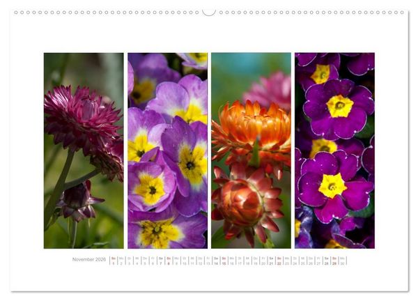 Produktbild: Gartenfreude (Wandkalender 2026 DIN A2 quer), CALVENDO Monatskalender