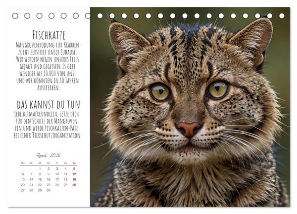 Produktbild: Wir sind die Letzten hier! Wir sterben aus. Wie du uns helfen kannst! (Tischkalender 2026 DIN A5 quer), CALVENDO Monatskalender