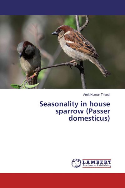 Produktbild: Seasonality in house sparrow (Passer domesticus)