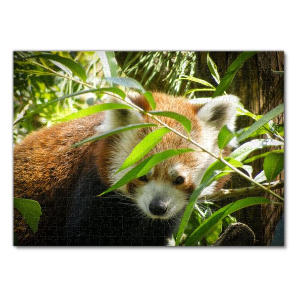 Produktbild: Lais Puzzle Roter Panda 500 Teile