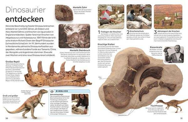 Produktbild: Memo Wissen. Fossilien