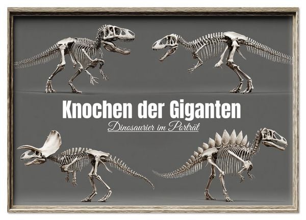 Produktbild: Knochen der Giganten - Dinosaurier im Portr&auml;t (Wandkalender 2026 DIN A2 quer), CALVENDO Monatskalender