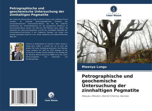 Produktbild: Petrographische und geochemische Untersuchung der zinnhaltigen Pegmatite
