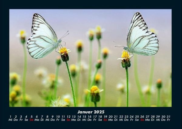 Produktbild: Natur 2025 Fotokalender DIN A4