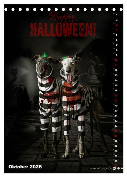 Produktbild: dogmuse deluxe (Tischkalender 2026 DIN A5 hoch), CALVENDO Monatskalender