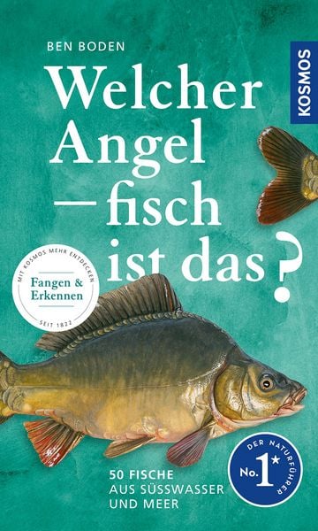 Produktbild: Welcher Angelfisch ist das?
