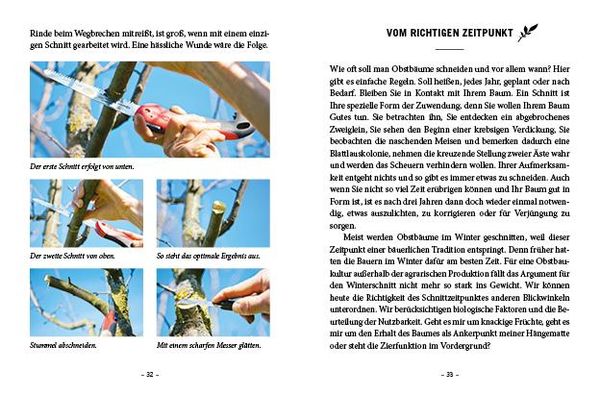 Produktbild: Das große kleine Buch: Obstbaumschnitt