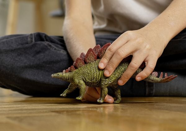 Produktbild: schleich&reg; Dinosaurs Stegosaurus 10,2cm