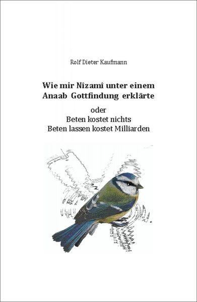 Produktbild: Wie mir N&icirc;zam&icirc; unter einem Anaab Gottfindung erkl&auml;rte