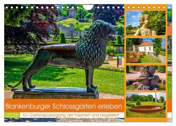 Blankenburger Schlossgärten erleben (Wandkalender 2025 DIN A4 quer), CALVENDO Monatskalender