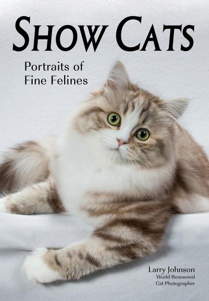 Produktbild: Show Cats