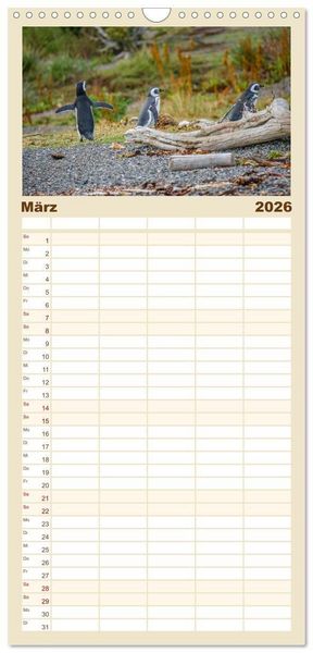 Produktbild: Familienplaner 2026 - Patagonien, Tierra del Fuego: Am Rand der Welt mit 5 Spalten (Wandkalender, 21 x 45 cm) CALVENDO