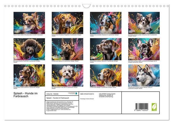 Produktbild: Splash - Hunde im Farbrausch (Wandkalender 2026 DIN A3 quer), CALVENDO Monatskalender