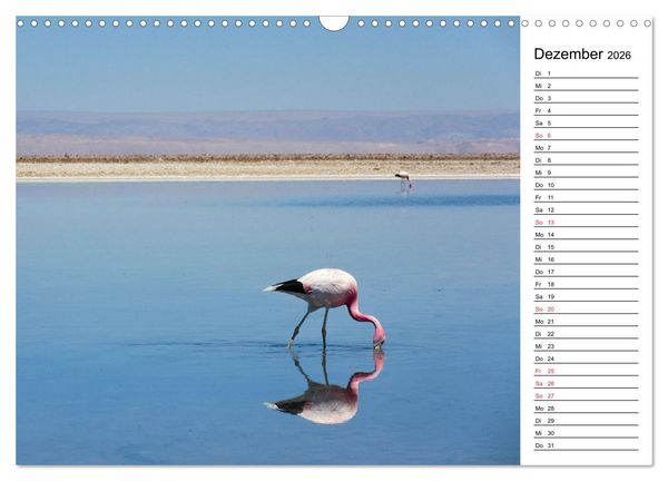 Produktbild: Mein Flamingo Planer (Wandkalender 2026 DIN A3 quer), CALVENDO Monatskalender