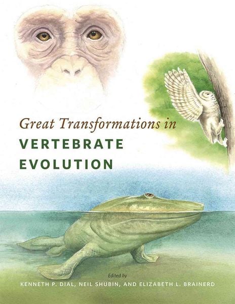 Produktbild: Great Transformations in Vertebrate Evolution