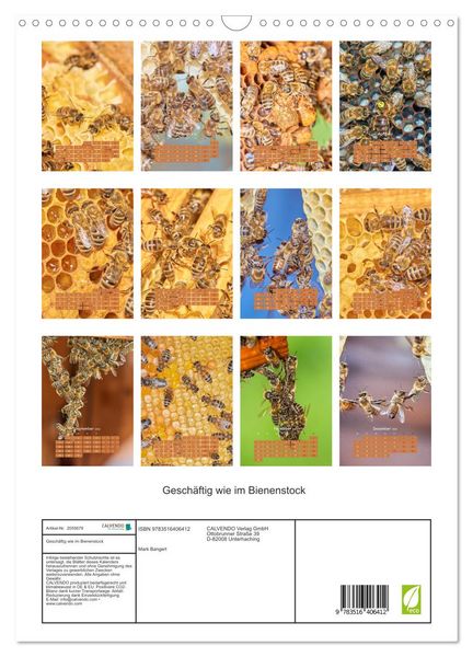 Produktbild: Gesch&auml;ftig wie im Bienenstock (Wandkalender 2026 DIN A3 hoch), CALVENDO Monatskalender