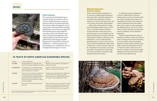Produktbild: Christopher Hobbs's Medicinal Mushrooms: The Essential Guide