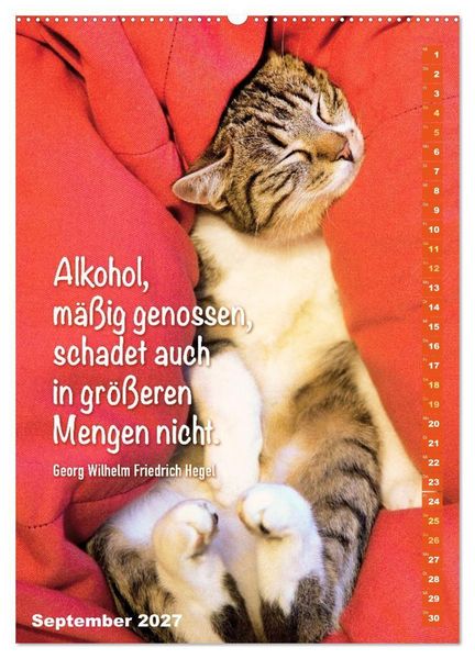 Produktbild: Der literarische Katerkalender (Wandkalender 2027 DIN A2 hoch), CALVENDO Monatskalender