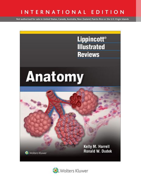 Produktbild: Harrell, K: Lippincott (R) Illustrated Reviews: Anatomy