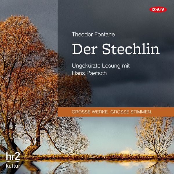 Der Stechlin - Theodor Fontane, Audio, 9783862317783
