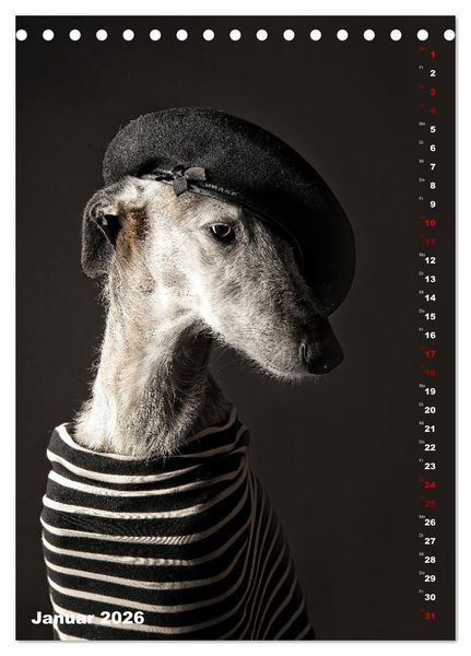 Produktbild: dogmuse deluxe (Tischkalender 2026 DIN A5 hoch), CALVENDO Monatskalender