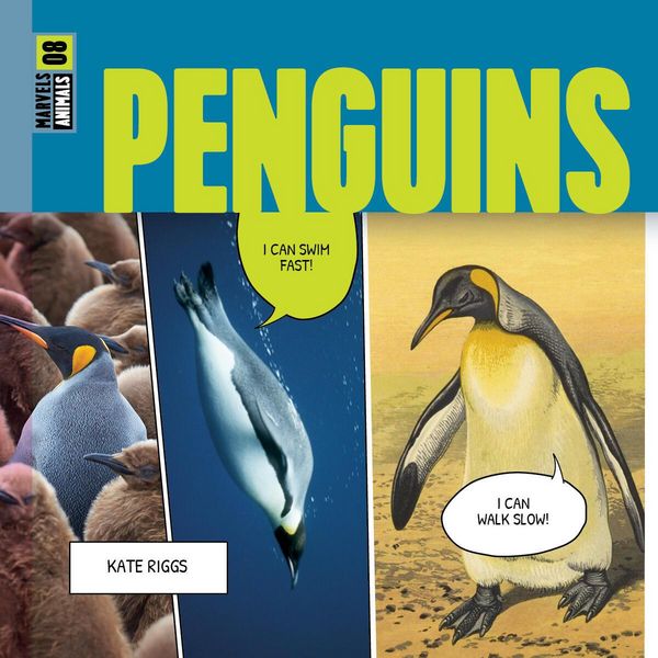 Produktbild: Penguins