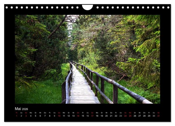 Produktbild: W&auml;lder, fotografiert auf vier Kontinenten (Wandkalender 2026 DIN A4 quer), CALVENDO Monatskalender