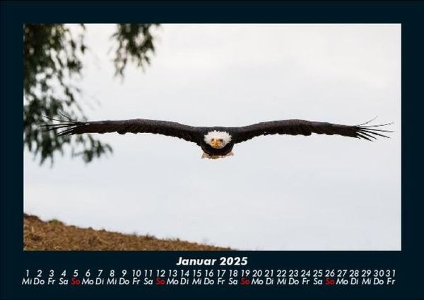 Produktbild: Adler 2025 Fotokalender DIN A5