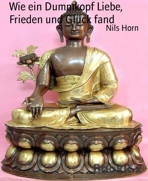 Produktbild: Wie ein Dummkopf Liebe, Frieden und Gl&uuml;ck fand