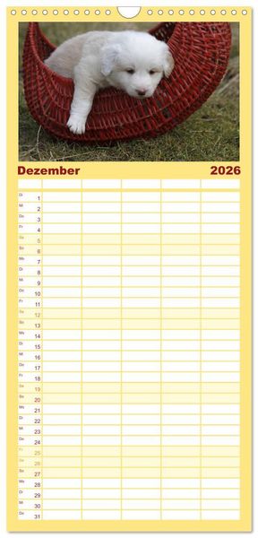 Produktbild: Familienplaner 2026 - Border Collie Welpen mit 5 Spalten (Wandkalender, 21 x 45 cm) CALVENDO