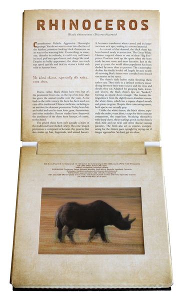 Produktbild: Safari