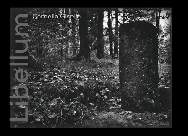 Produktbild: Libellum