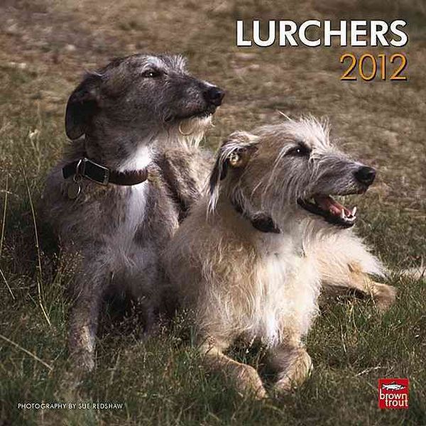 Produktbild: Lurchers 2012