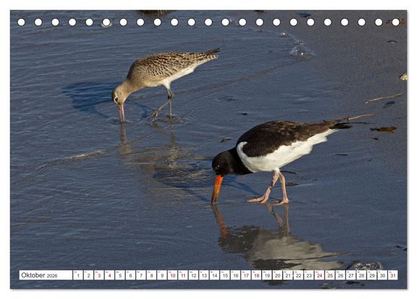 Produktbild: Helgoland - Hochseeinsel in der Nordsee (Tischkalender 2026 DIN A5 quer), CALVENDO Monatskalender