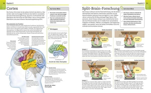 Produktbild: Visuelles Wissen. Psychologie